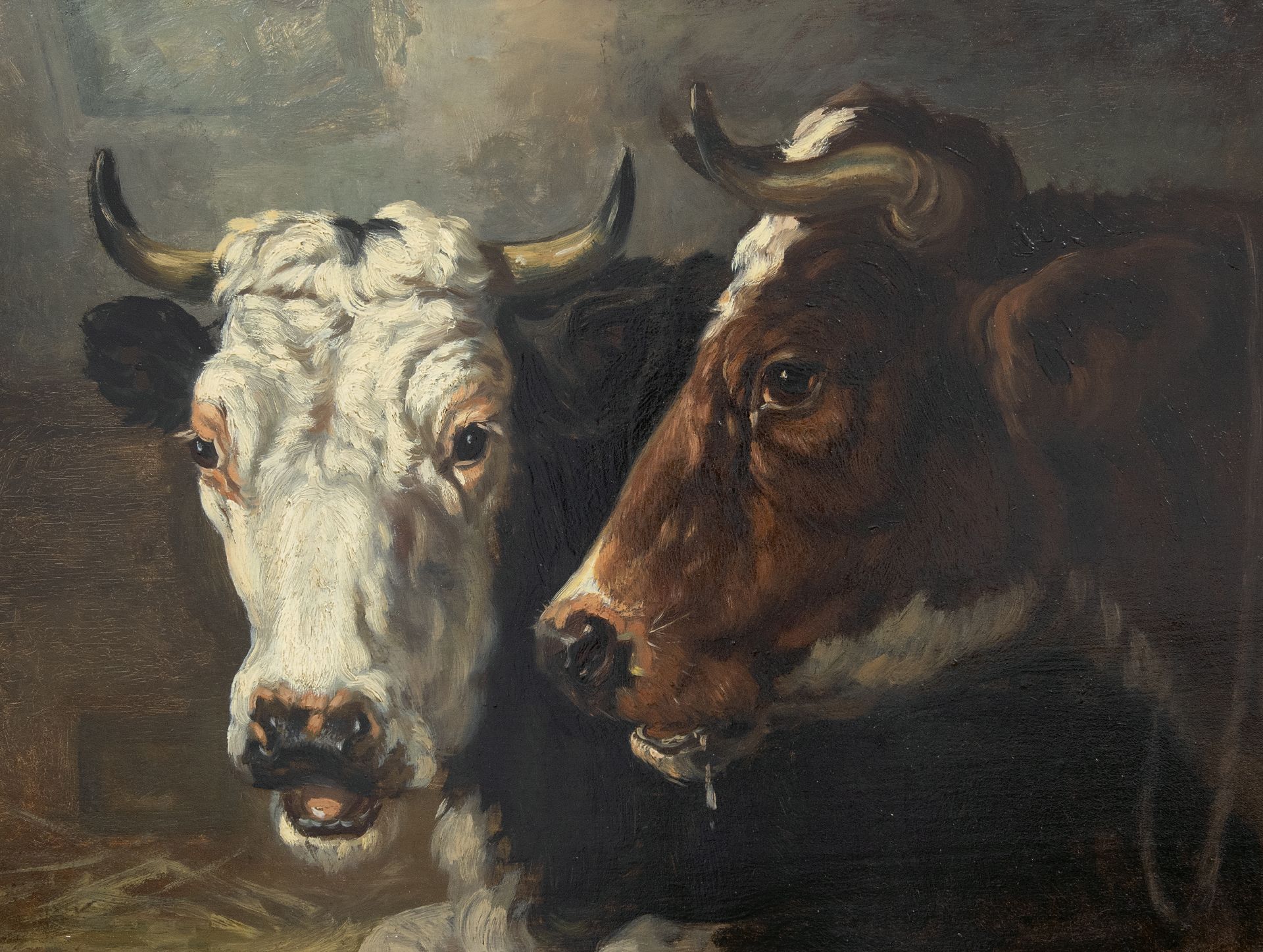 Bedrog Gewoon Deens Richard Burnier | Schilderijen vh. te Koop | Twee koeienkoppen