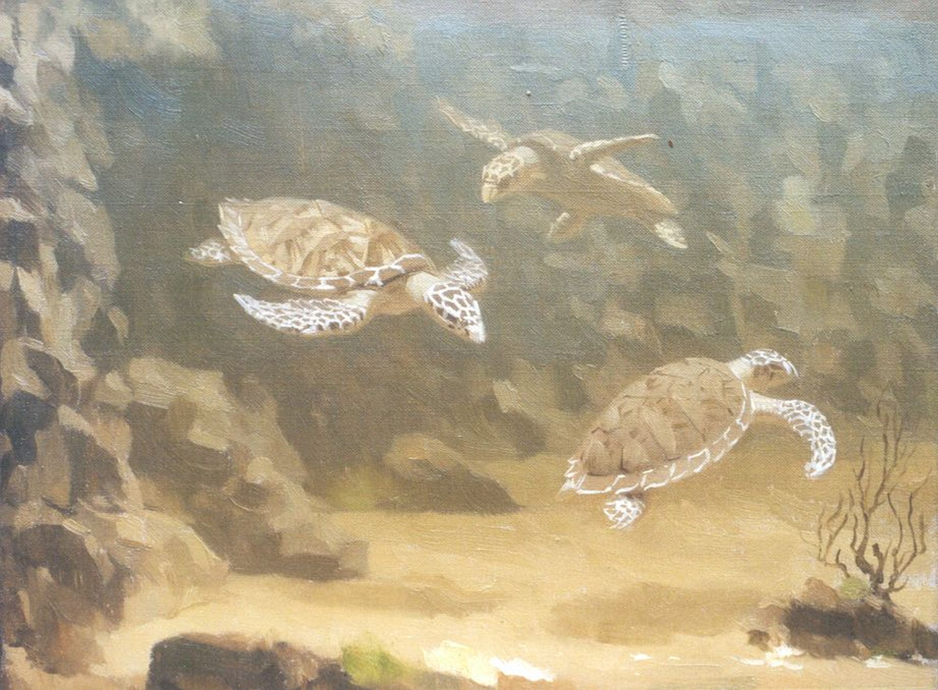 Van Geologie Nuttig Gerrit Willem Dijsselhof | Schilderijen vh. te Koop | Waterschildpadden