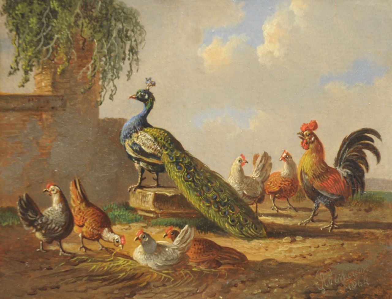 Verhoesen A.  | Albertus Verhoesen, Pauw tussen hoenders, olieverf op paneel 10,9 x 14,0 cm, gesigneerd rechtsonder en gedateerd 1864