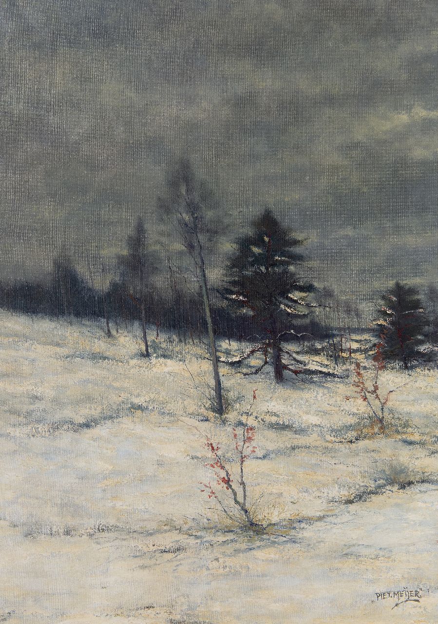 Meijers P.  | Piet Meijers | Schilderijen te koop aangeboden | Sneeuwlandschap, olieverf op doek 70,3 x 50,0 cm, gesigneerd rechtsonder