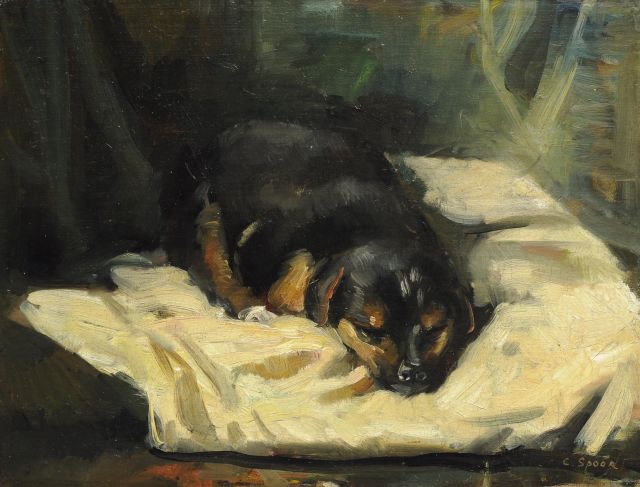 Spoor C.R.H.  | Slapende hond, olieverf op doek op board 28,0 x 36,5 cm, gesigneerd r.o.