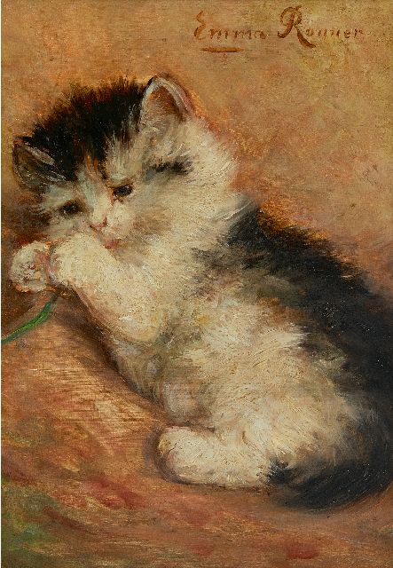 vrijwilliger Zonnig afstuderen Katten | Schilderijen te Koop | Schilders & Kunstwerken
