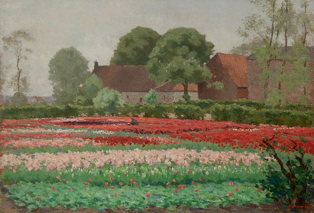 Koster A.L.  | Veld met rode en roze tulpen, olieverf op doek 52,3 x 76,3 cm, gesigneerd r.o.