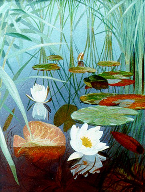 Smorenberg D.  | Waterlelies, olieverf op doek 51,1 x 39,2 cm, gesigneerd r.o.