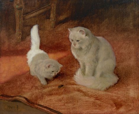 Arthur Heyer - Angora kat en kitten met een kevertje, olieverf op board op doek 56,2 x 68,0 cm, gesigneerd linksonder